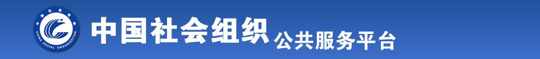 被几个大鸡吧插进去视频全国社会组织信息查询